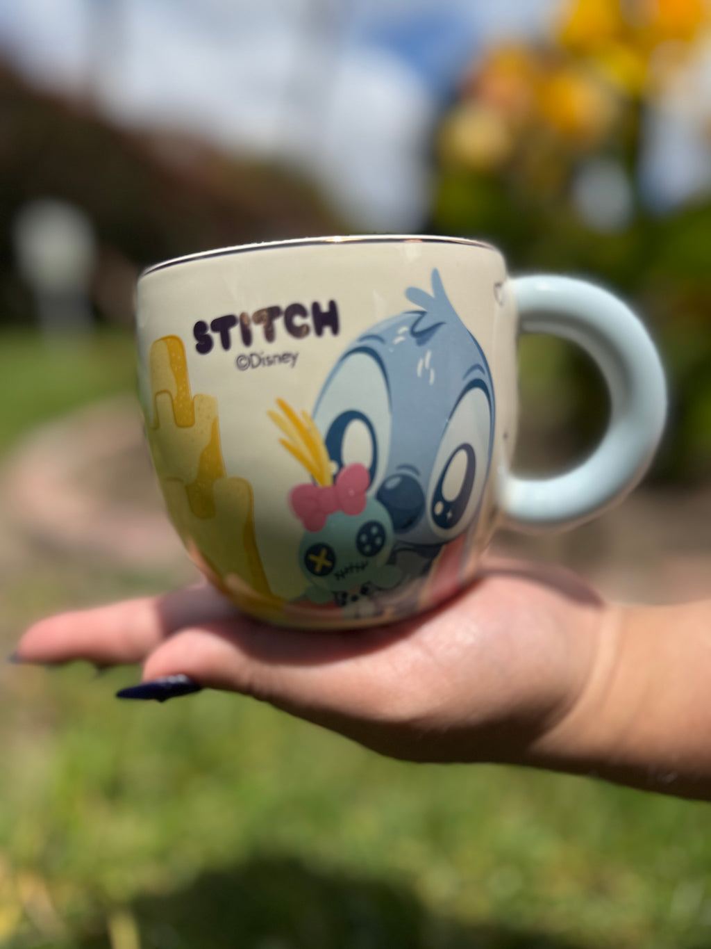 Stitch Tierno