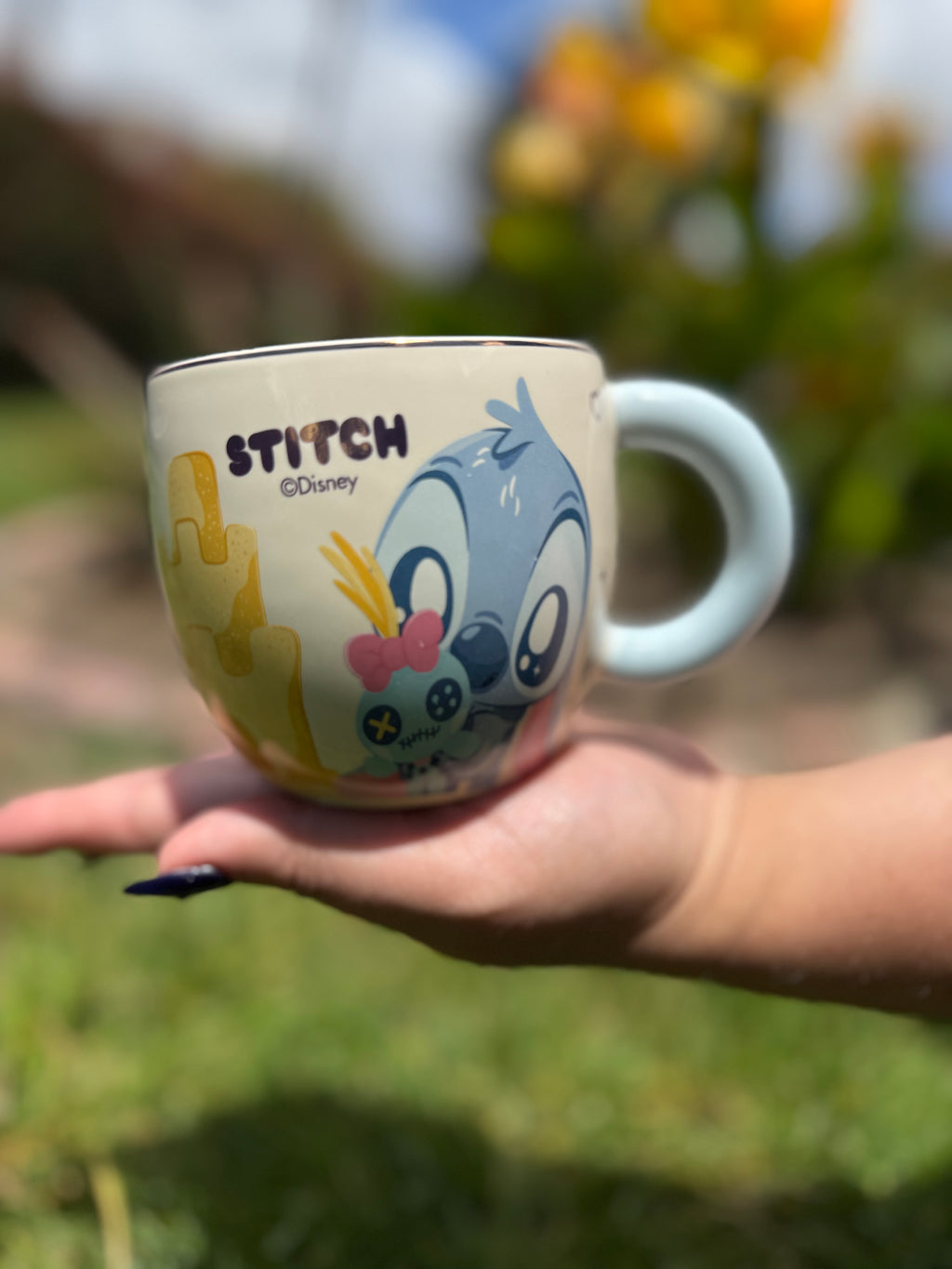 Stitch Tierno
