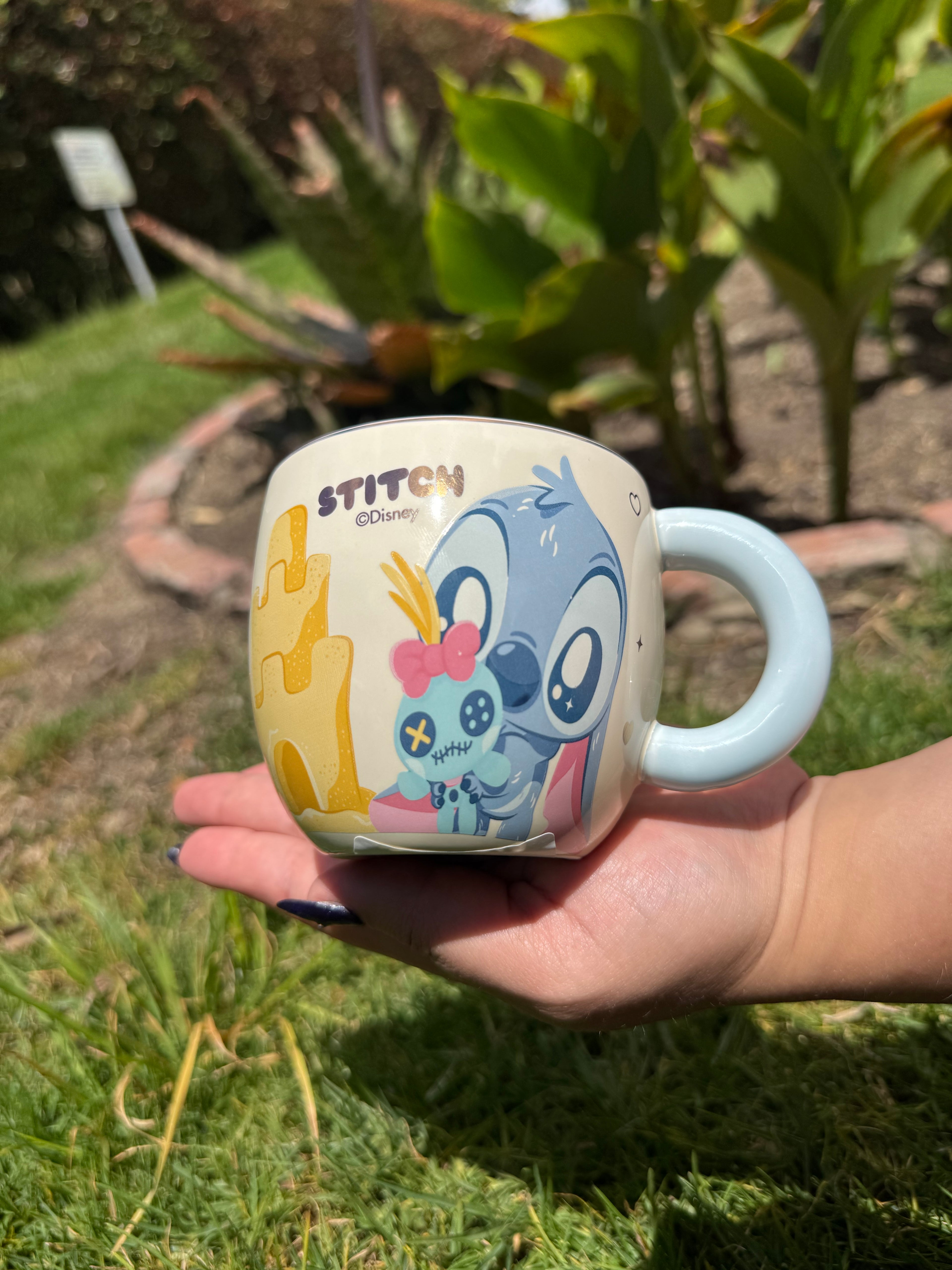 Stitch Tierno