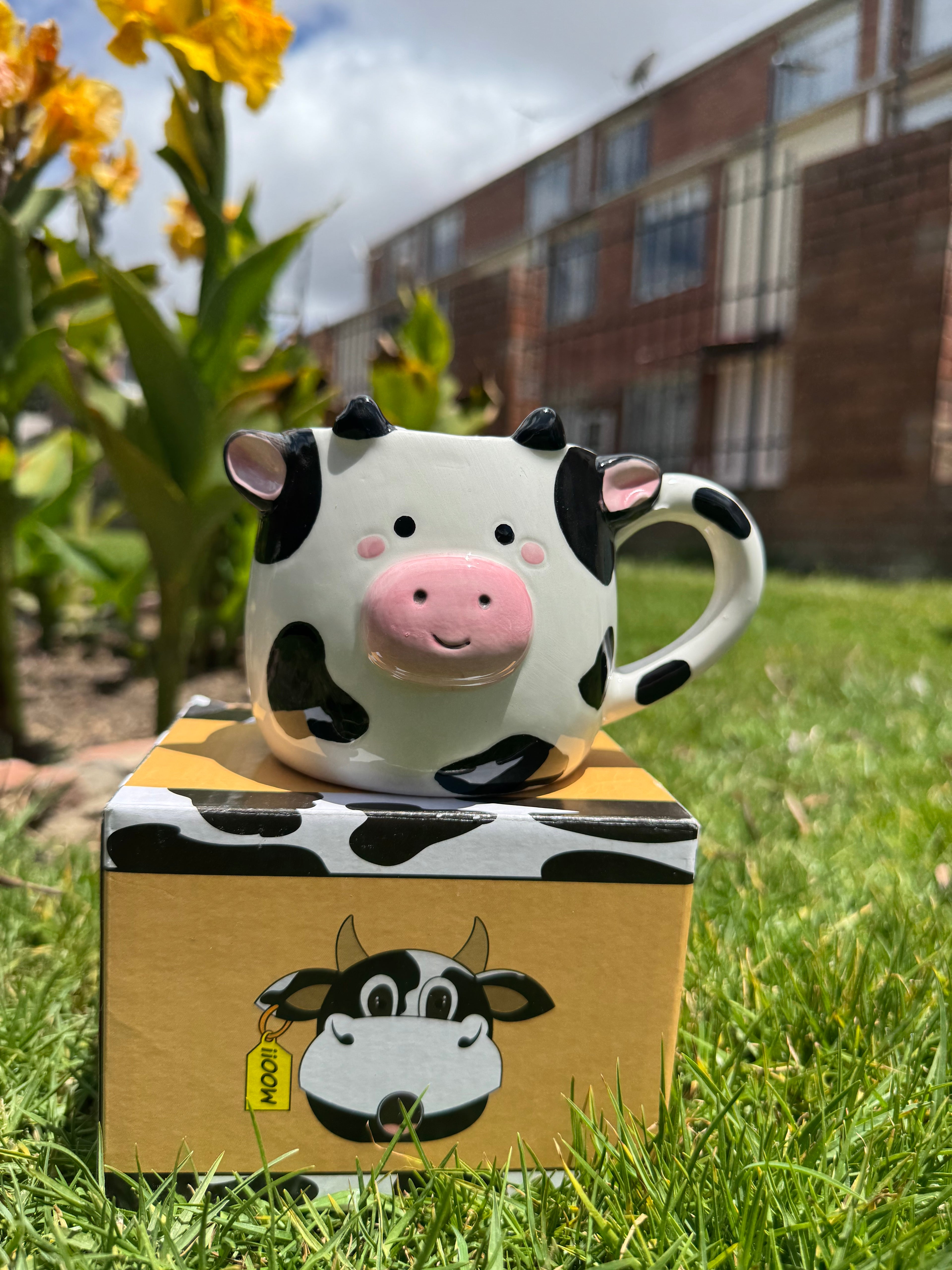 Vaca Soft