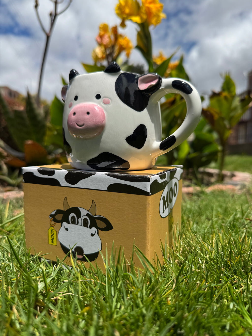 Vaca Soft