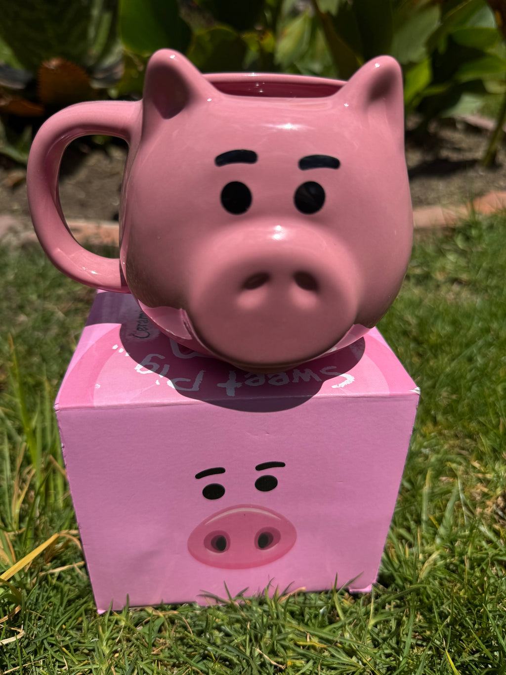 Hamm (Toy Story)