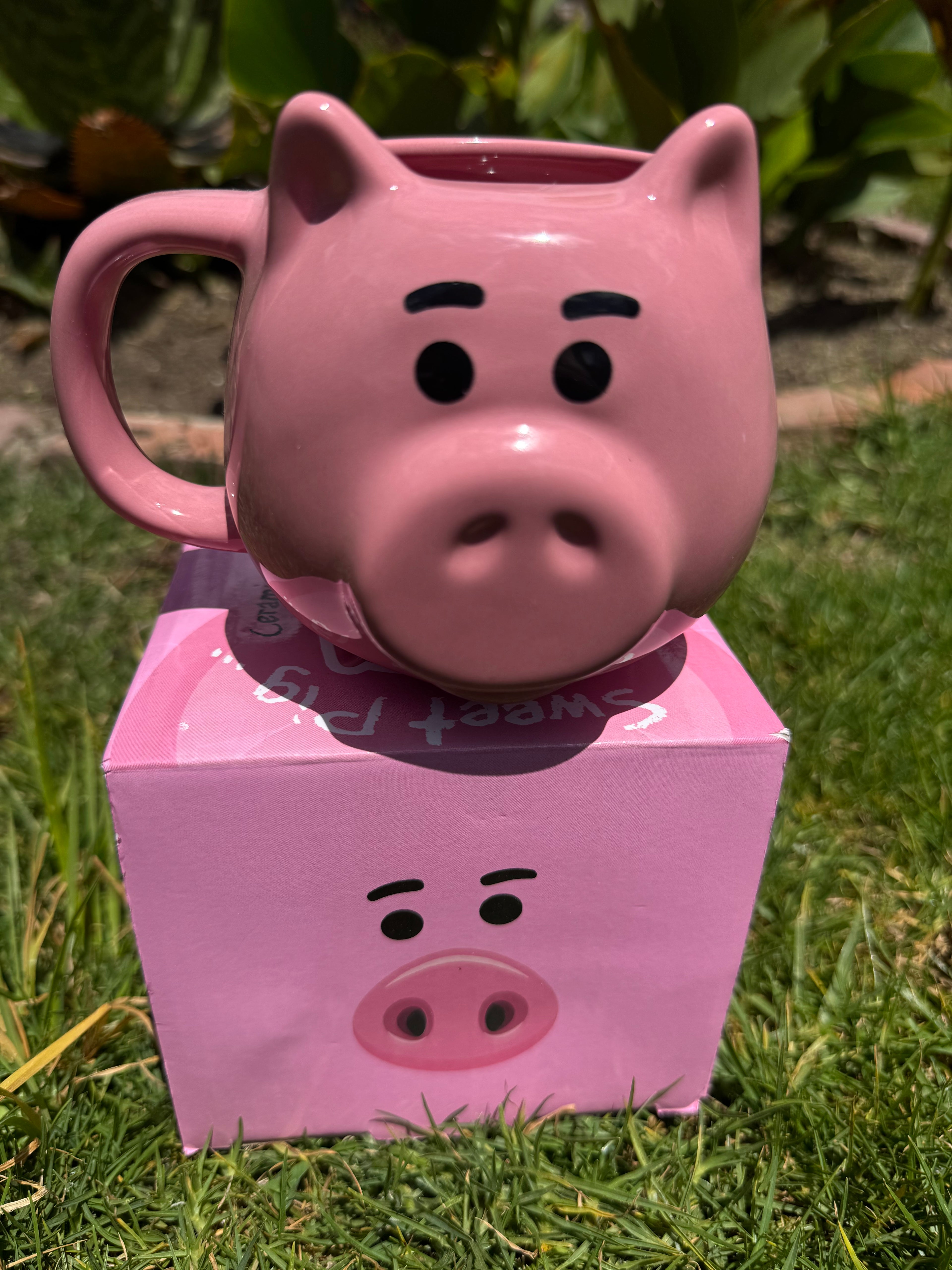 Hamm (Toy Story)