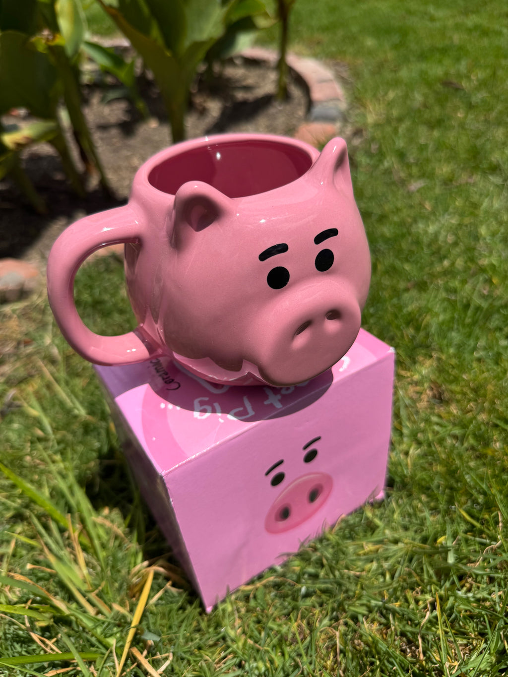 Hamm (Toy Story)