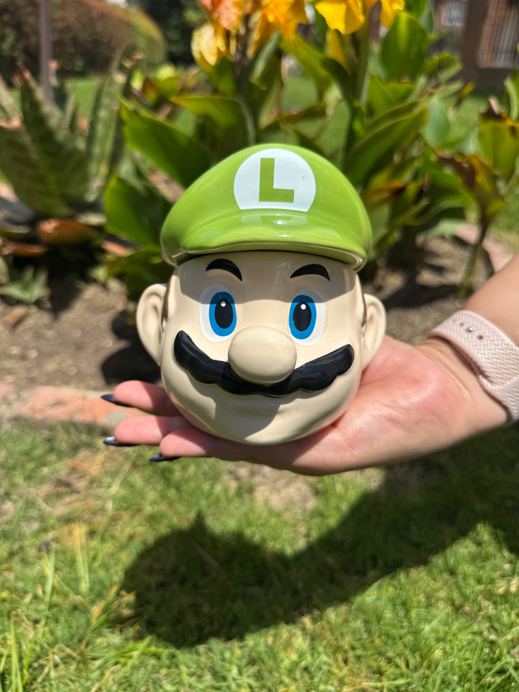Luigi