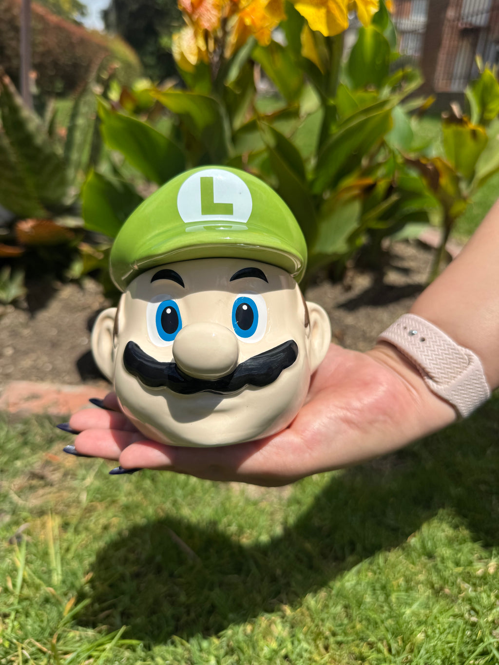 Luigi
