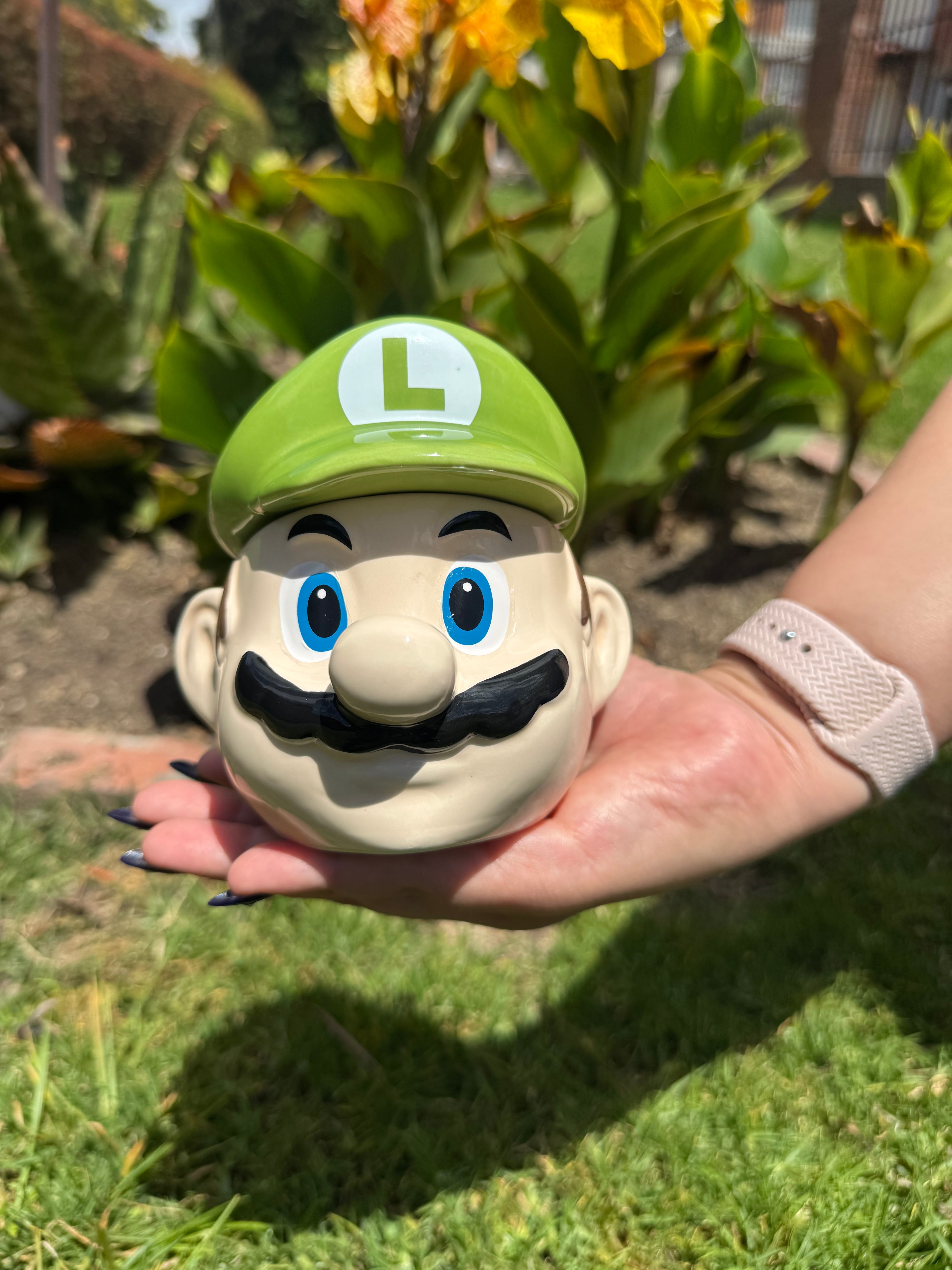 Luigi