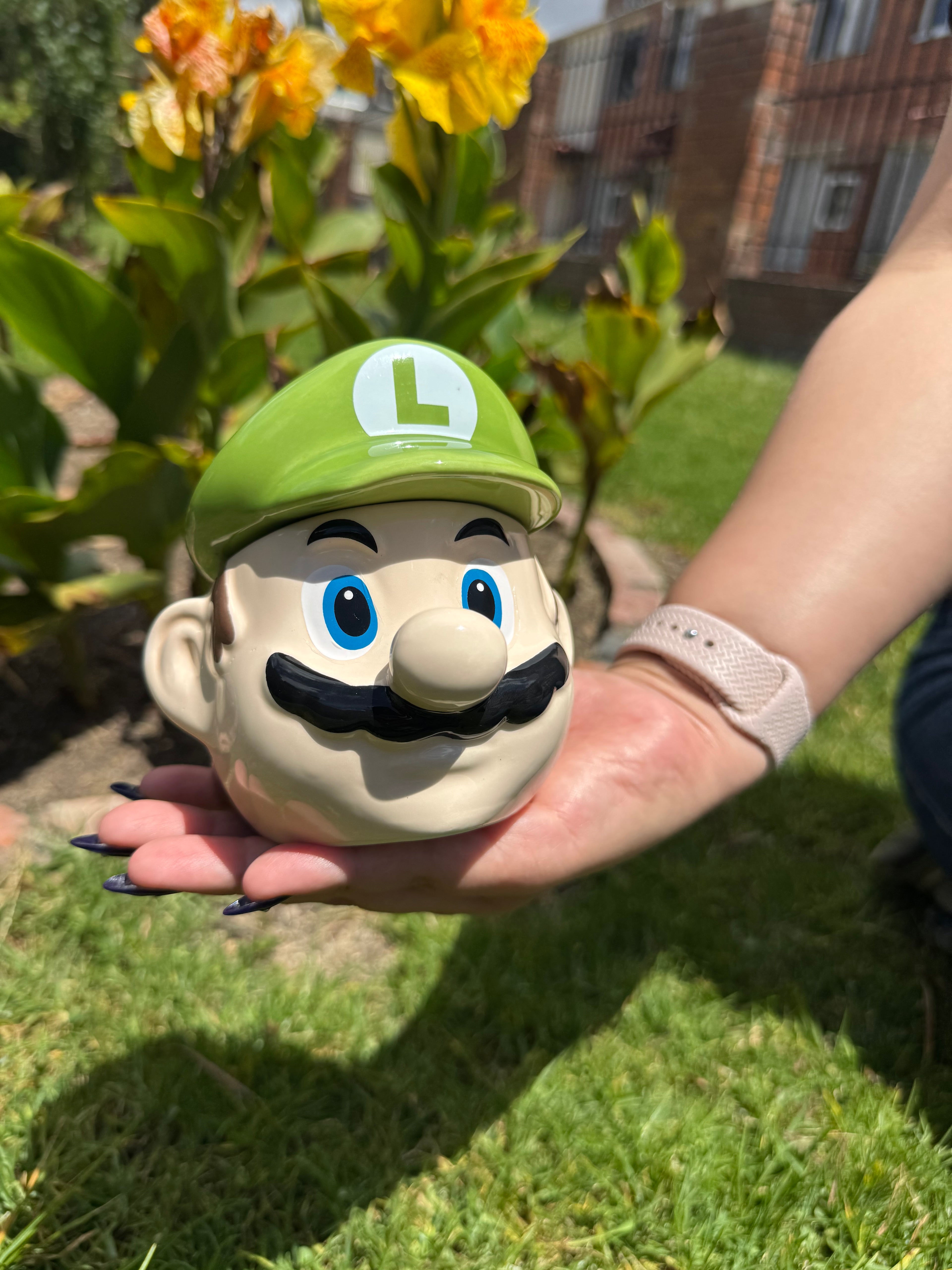 Luigi