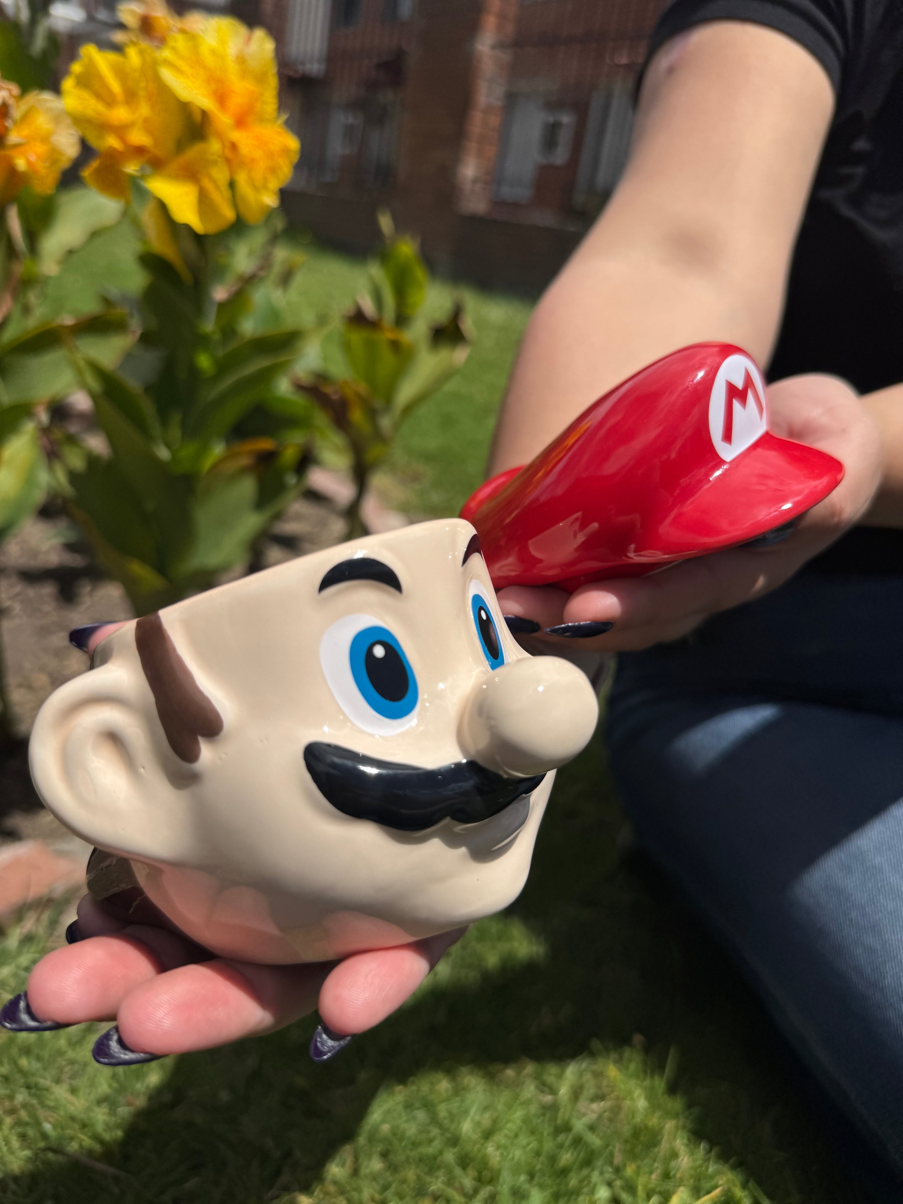 Mario Bros