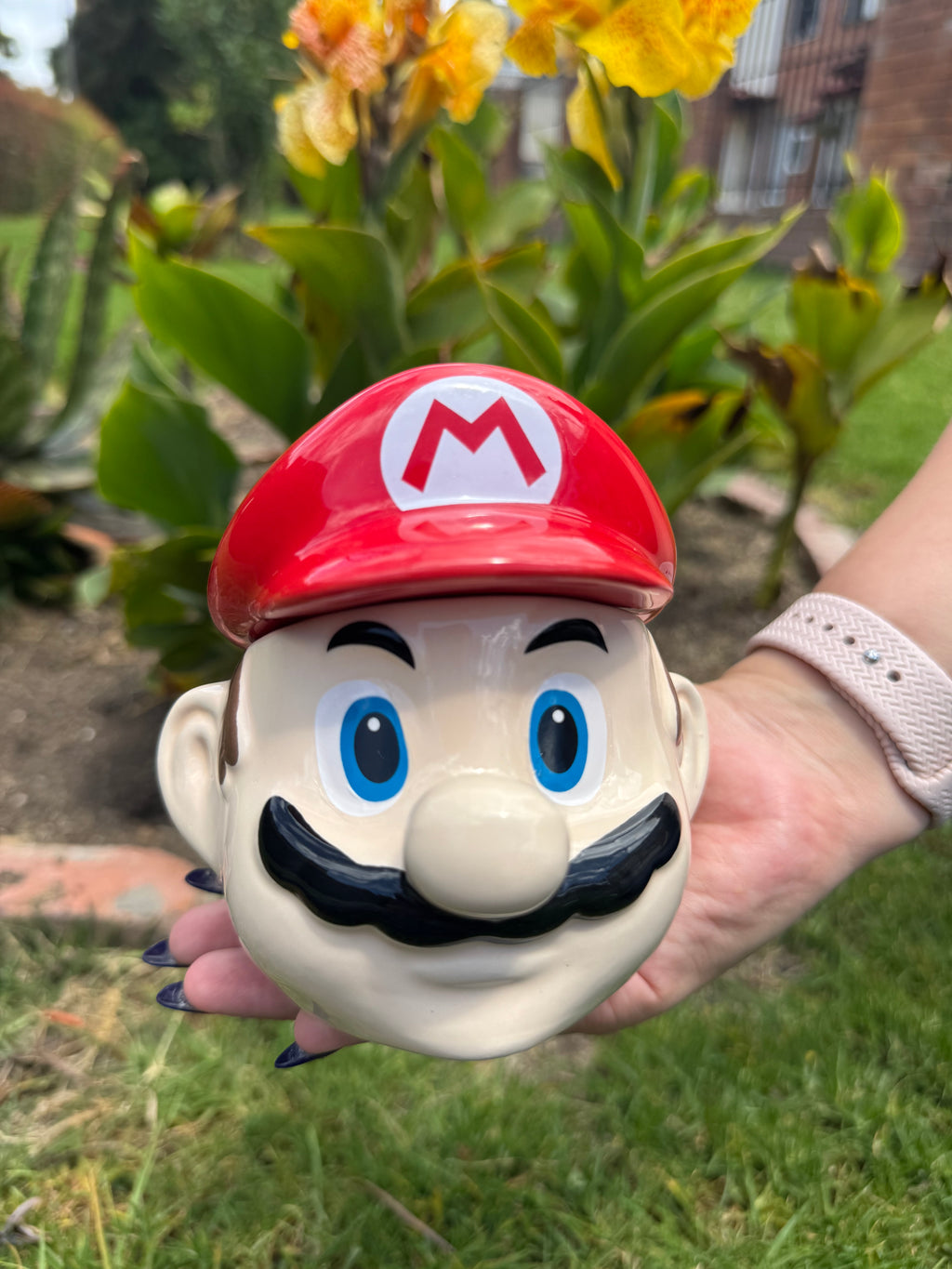 Mario Bros