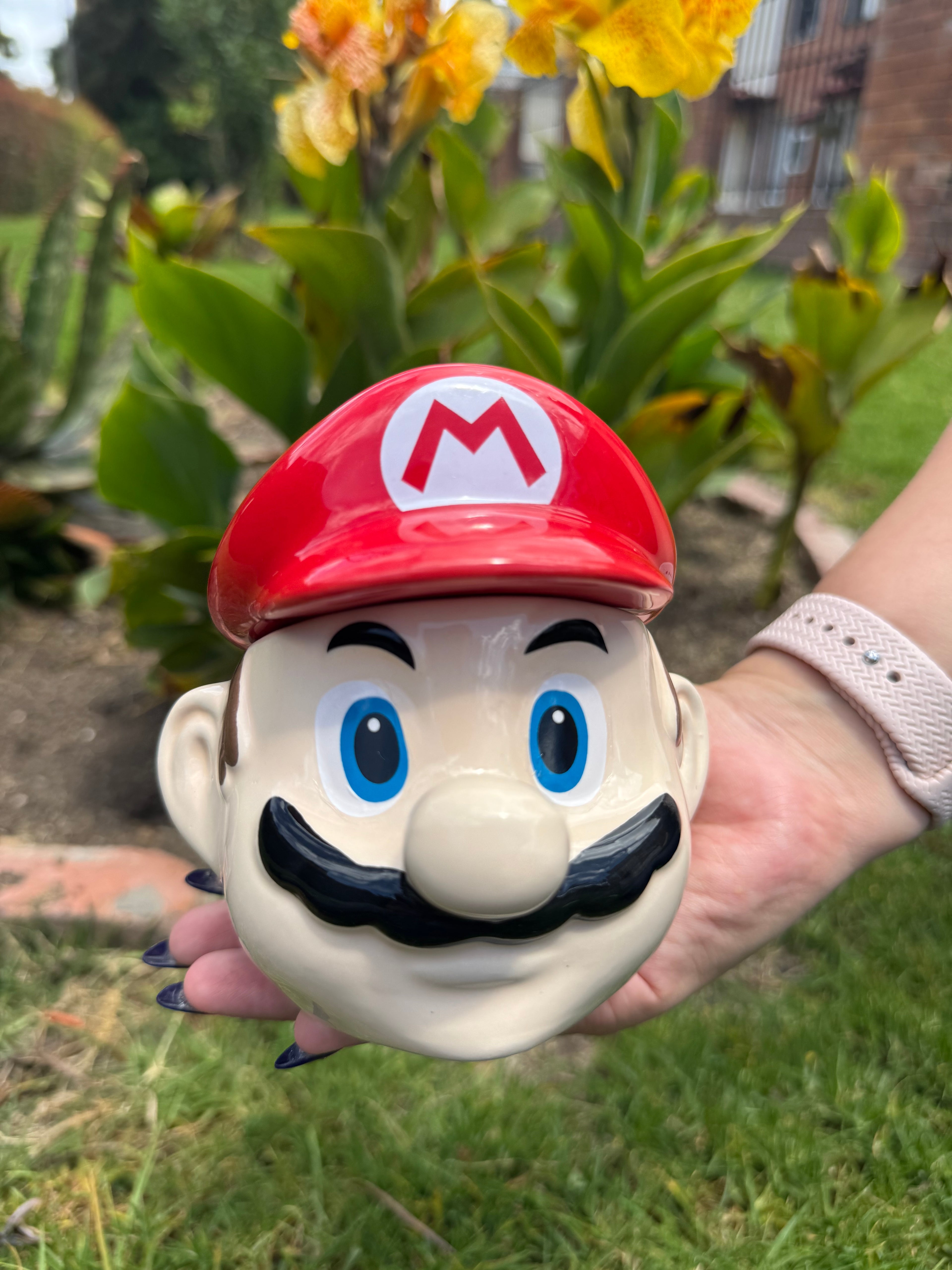Mario Bros