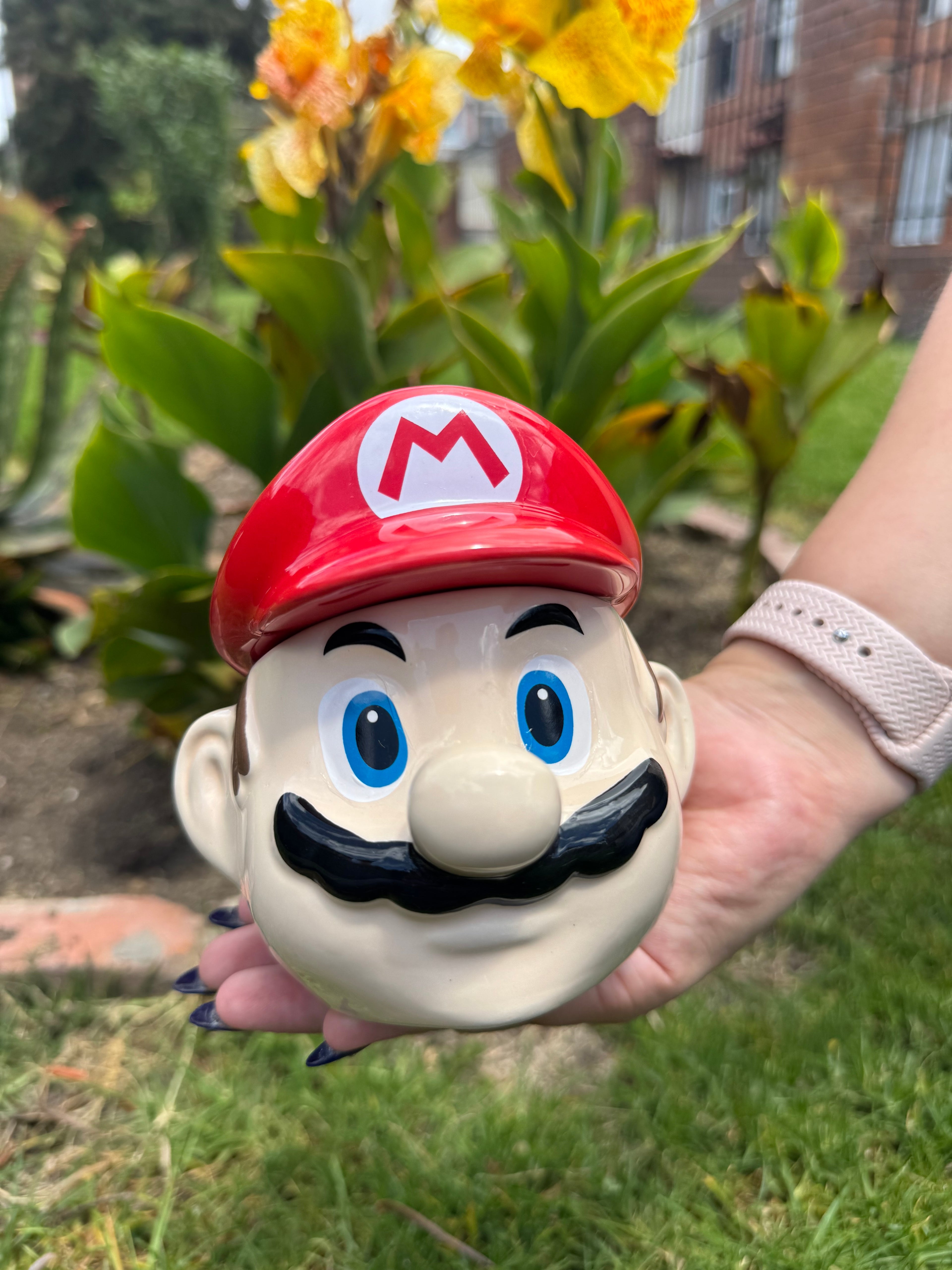 Mario Bros